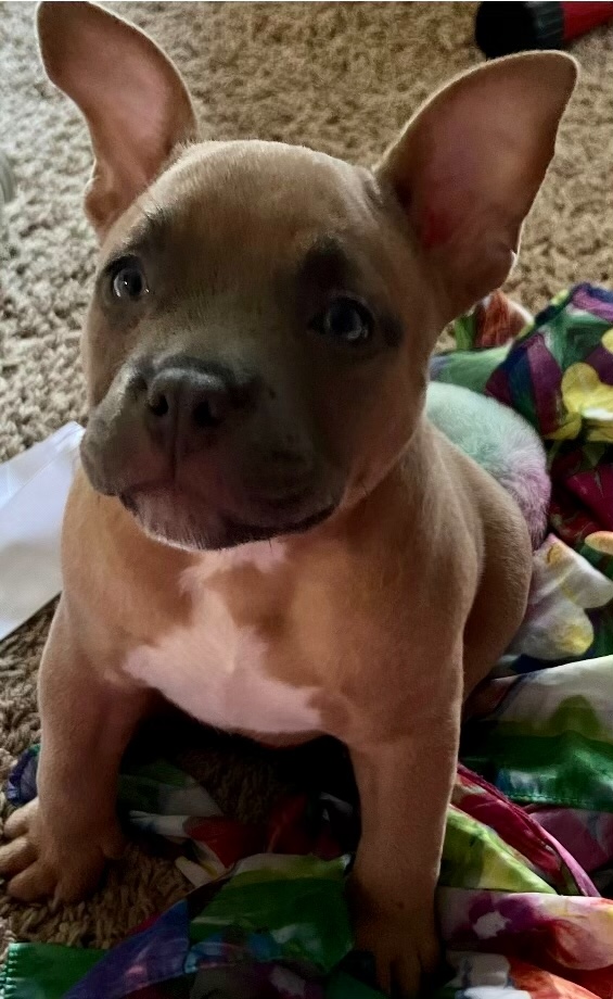 Resized_Screenshot_20220111-085403_Messages